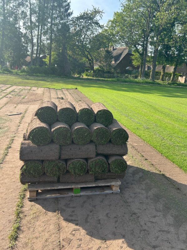Gebruikte Deutz 5115 DTTV - Afbeelding 11